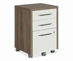 Best reviews of π C11 Gammel Mobile File Pedestal π 5 Best reviews of π C11 Gammel Mobile File Pedestal π -Deals Office And Store C11 16 4812 GY 002 da06d413 13c9 479f bd47 8eb2616a534d