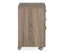 Best reviews of π C11 Gammel Mobile File Pedestal π 6 Best reviews of π C11 Gammel Mobile File Pedestal π -Deals Office And Store C11 16 4812 GY 003 a951aa14 1bc8 4fa6 919c 45b1042e8497