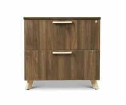 Flash Sale π₯ P21 Thorsten Lateral File π₯°